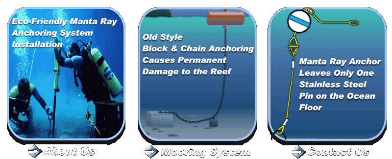 Maui Mooring Companies